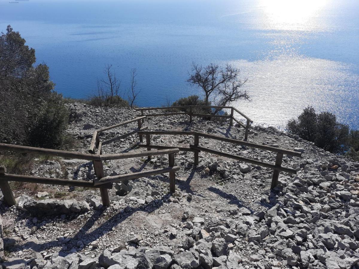 Agriturismo Ai Tre Sentieri 奥里西纳 外观 照片
