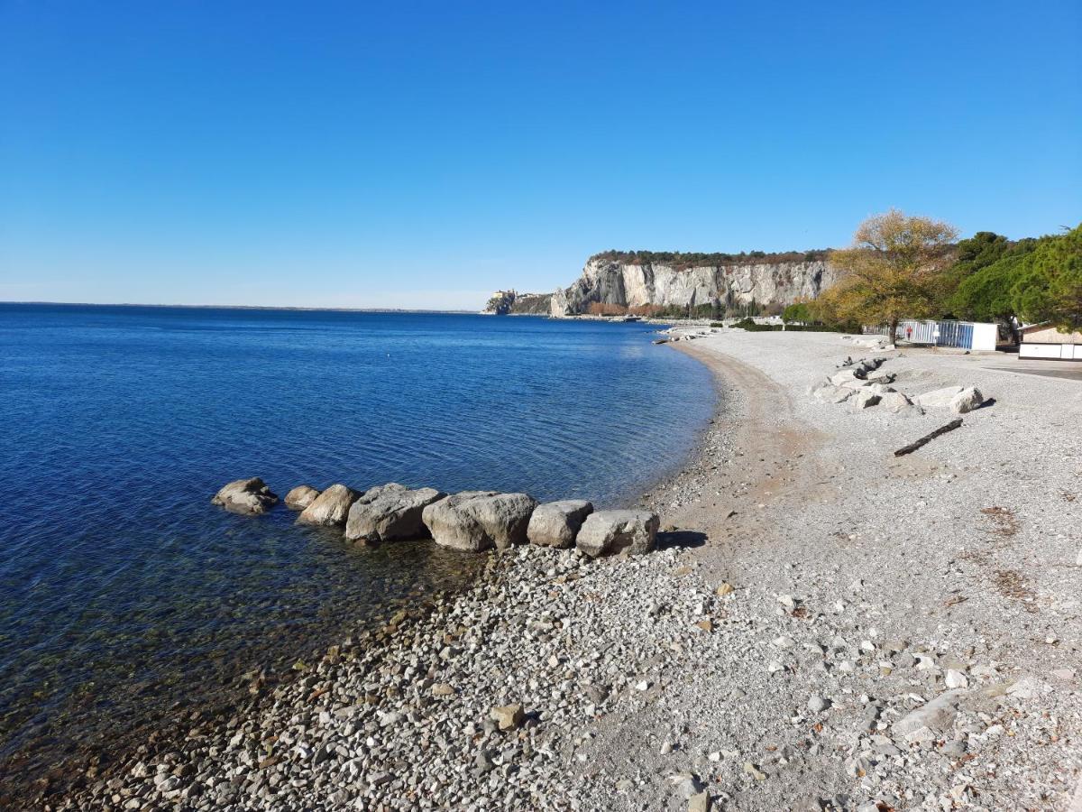 Agriturismo Ai Tre Sentieri 奥里西纳 外观 照片