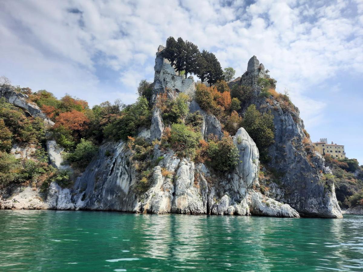 Agriturismo Ai Tre Sentieri 奥里西纳 外观 照片