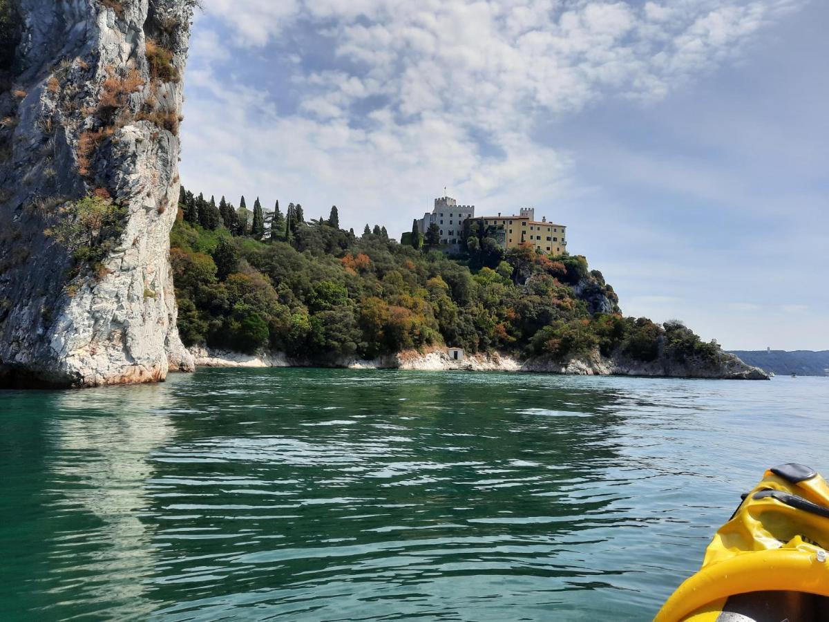 Agriturismo Ai Tre Sentieri 奥里西纳 外观 照片