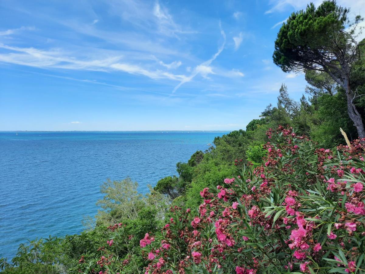 Agriturismo Ai Tre Sentieri 奥里西纳 外观 照片