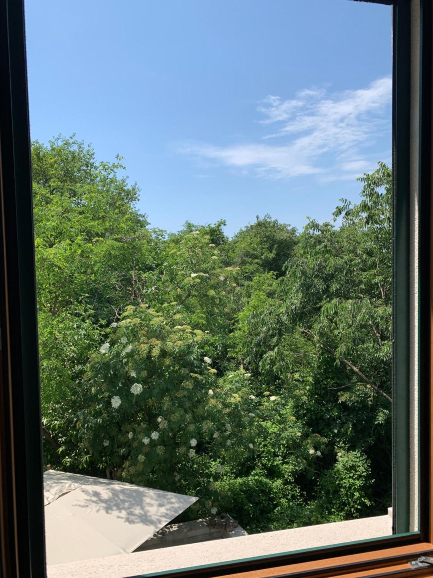Agriturismo Ai Tre Sentieri 奥里西纳 客房 照片